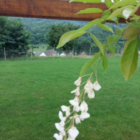 Láng Vendégház Villánykövesd