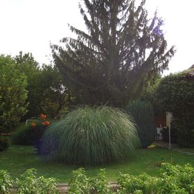 Fenyő Vendégház Badacsony