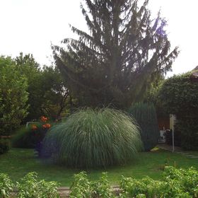 Fenyő Vendégház Badacsony