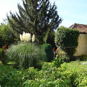 Fenyő Vendégház Badacsony