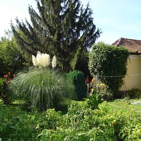 Fenyő Vendégház Badacsony