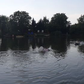 Netta Nyaraló Békésszentandrás