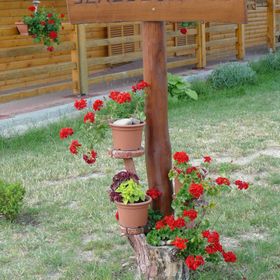 Százszorszép Vendégház Szigetbecse