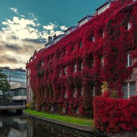 Apartament Studio Four Seasons z miejsciem parkingowym Gdańsk