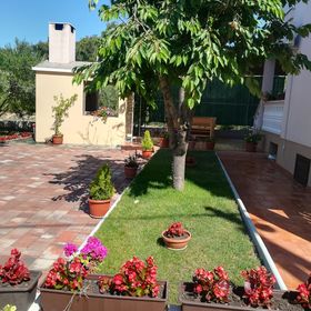 Apartman Petra Bibinje