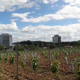 Baricska Apartman Balatonfüred