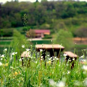 MaNó Vendégház Bárdudvarnok