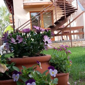 Liberty Apartman Bükfürdő