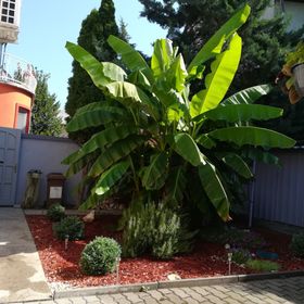 Gabóca Vendégház Szeged