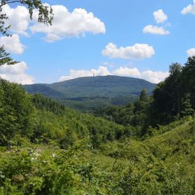 Deák Vendégház Parádsasvár