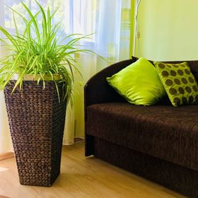 Centrum Apartman Szentes