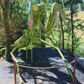 Hotel Dwór Wapowce Przemyśl