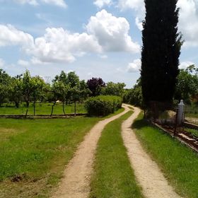 Apartman Merini Loborika