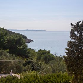 Apartments Tasha Stivan