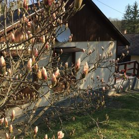 Aprócska Faház Bükkszék