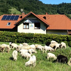 Pokoje Gościnne Haratek przy Gondoli Szczyrk