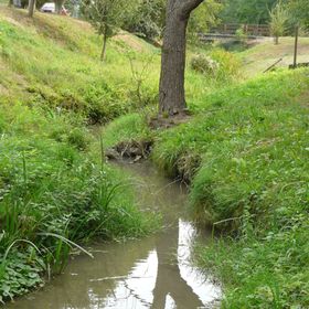 Márfi Vendégház Magyarszerdahely