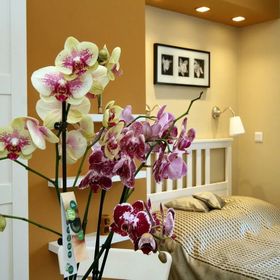 Orchidea Apartman Eger