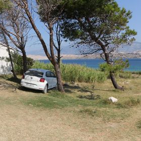 Apartment Marija Kolan