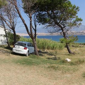 Apartment Marija Kolan