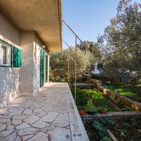 Apartment Srećko Vinisce