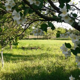 Duna-Lak Vendégház Apostag