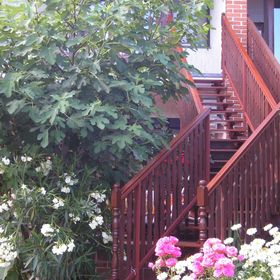 Dencs Apartman Siófok