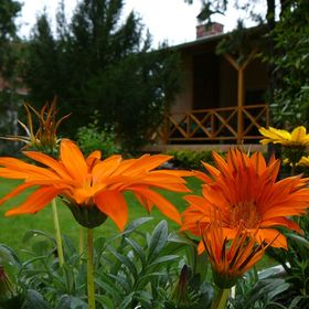 Töreki Plusz Apartman Balatonalmádi