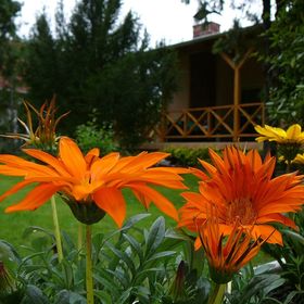 Töreki Plusz Apartman Balatonalmádi