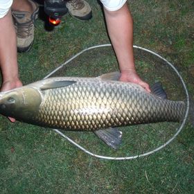 Szamos-parti Vendégház Tunyogmatolcs