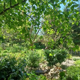 Magdolna Vendégház Écs