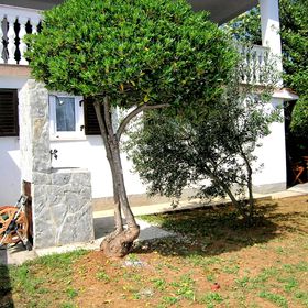 Apartment Tamara P Krk