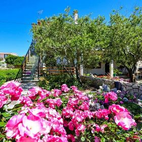 Apartments Tome Povljana