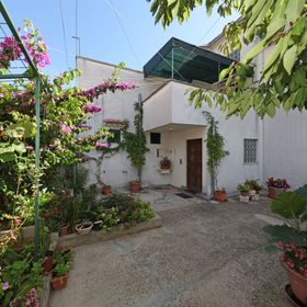 Apartments Anita summer Vodice