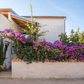 Apartments Anita summer Vodice