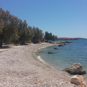 Apartments Estella Bibinje