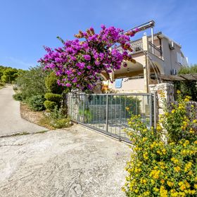 Apartments Branko Razanj
