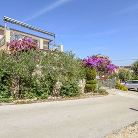 Apartments Branko Razanj