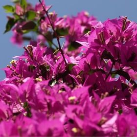 Apartments Anita Veli Losinj