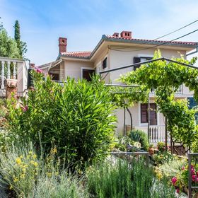 Apartment Katarina Vrbnik