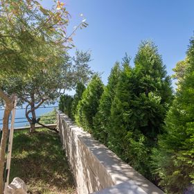 Apartments Djani Mimice