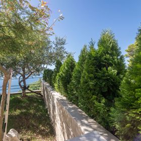 Apartments Djani Mimice