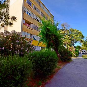 Apartment Sunny Split