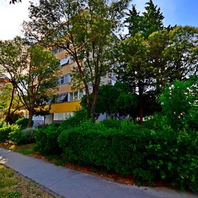 Apartment Sunny Split