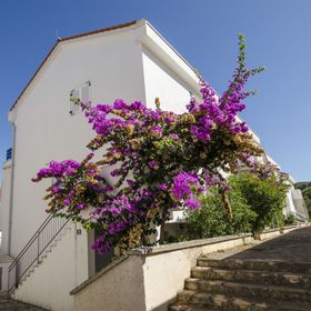 Apartment Tatjana Necujam