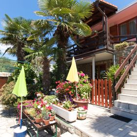 Apartment Paulina Cres