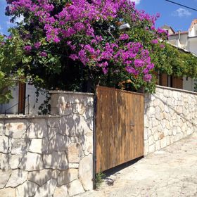 Apartment Milivoj Primosten