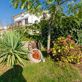 Apartments Ante Njivice