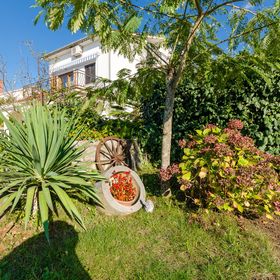 Apartments Ante Njivice