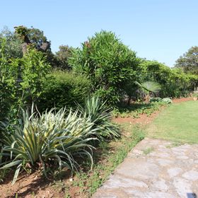 Apartments Drpić I. Silo